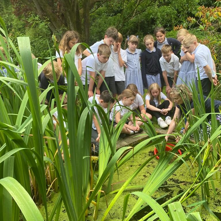 pond dipping